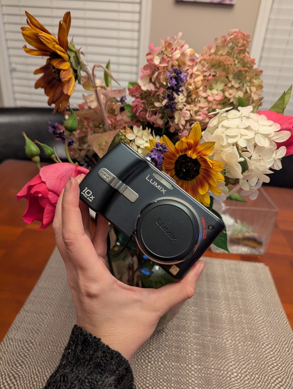 Lumix TZ1 Digital Camera